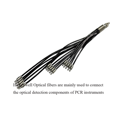 Polymerase chain reaction (PCR) instruments  PCR Optical fibers Connect the optical detection components of PCR instruments