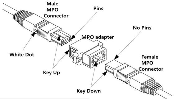 OM3/OM4 MPO Connector Patch Cord 12 Fiber MPO Trunk Cable 8/12/24F MTP MPO Cable